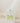 Centella Asiatica Calming Mask 25ml x 10ea