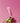Gooseberry Juicy Glow up Sun Serum 50ml