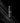 Porexel Programming Ampoule 10ml