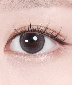 Gray Taupe 1-Day 0.00D (10 Lenses)