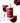 Pokind Energetic Root Care Shampoo 490ml