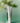 Green Flavonoid 3.0 Cream 50ml