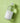 Centella Cleansing Water 300ml